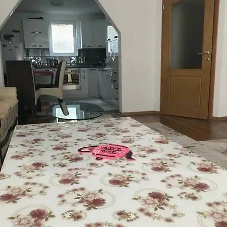 Podvinjci Oryent Vila Villa *